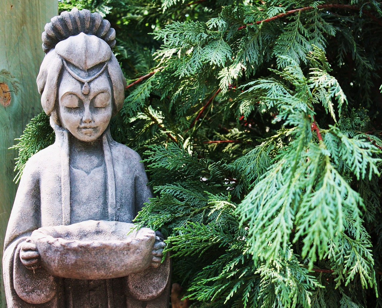 Ogród orientalny – charakterystyka
